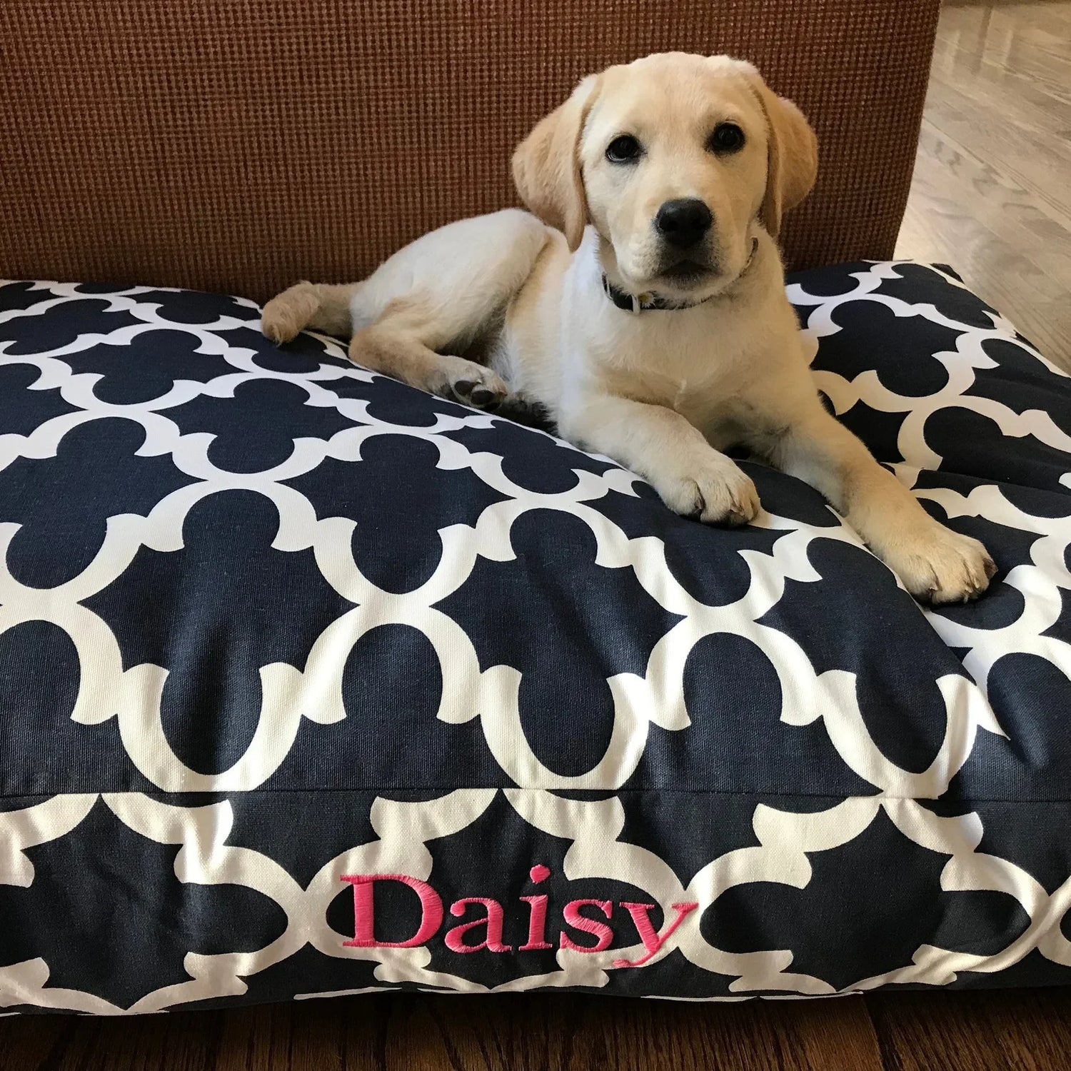 Dog Beds and Blankets