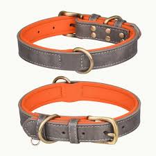 Dog Collars